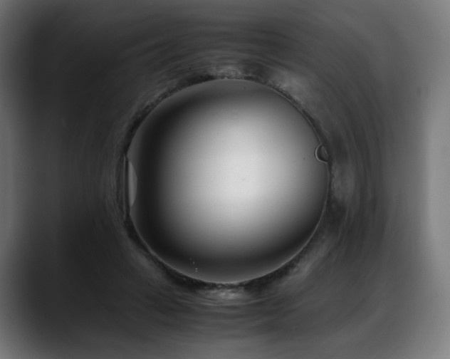 X0000088660449200705251525