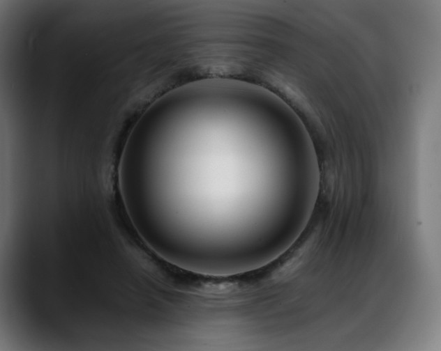 X0000088660450200705251525