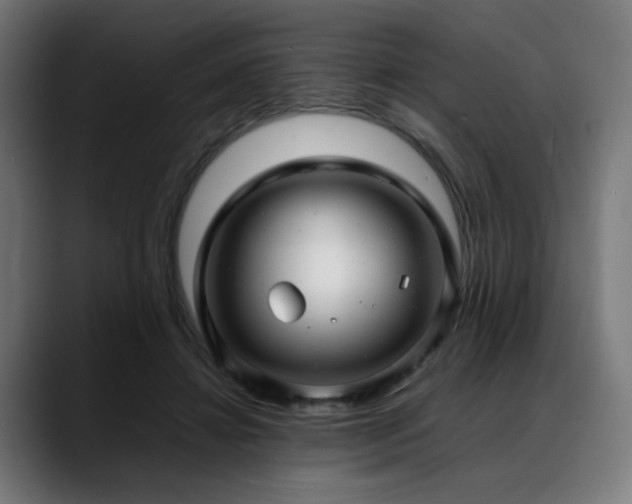 X0000088660452200705251525