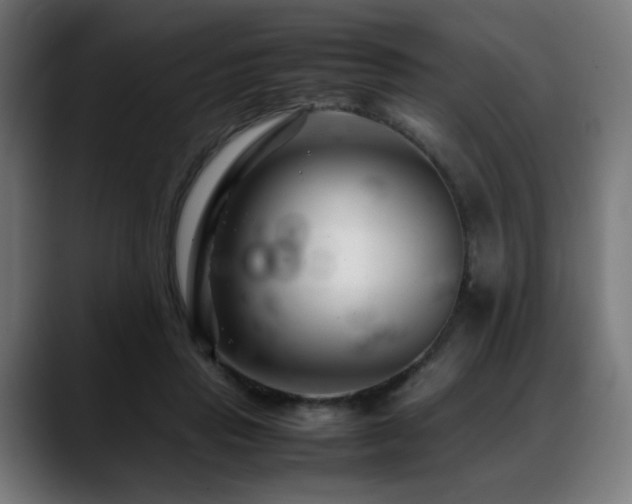 X0000088660453200705251526