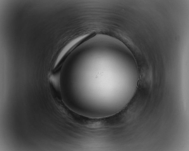 X0000088660454200705251526