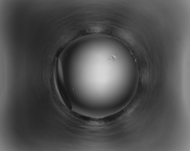 X0000088660455200705251526