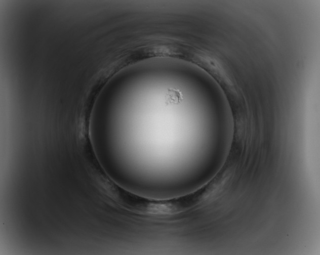 X0000088660457200705251526