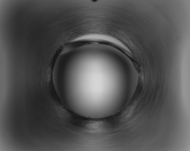 X0000088660458200705251526