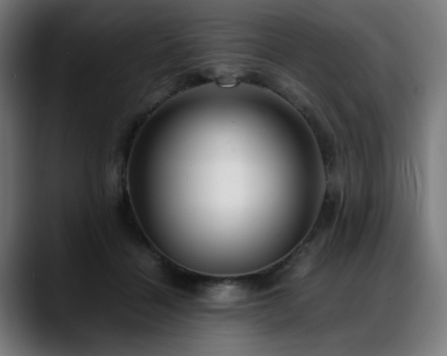 X0000088660460200705251526