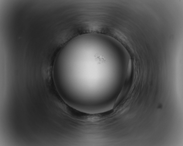 X0000088660462200705251526