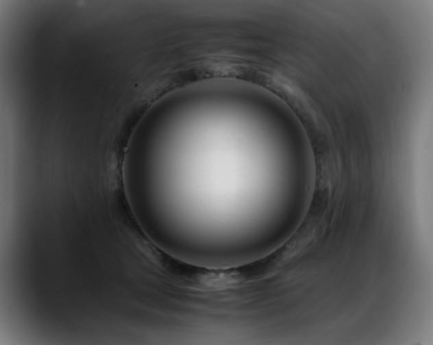 X0000088660465200705251526