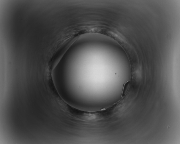 X0000088660469200705251526