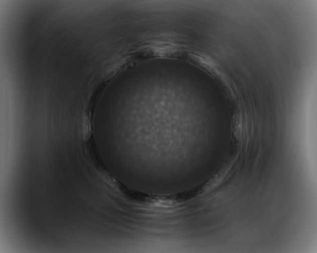 X0000088660471200705251526