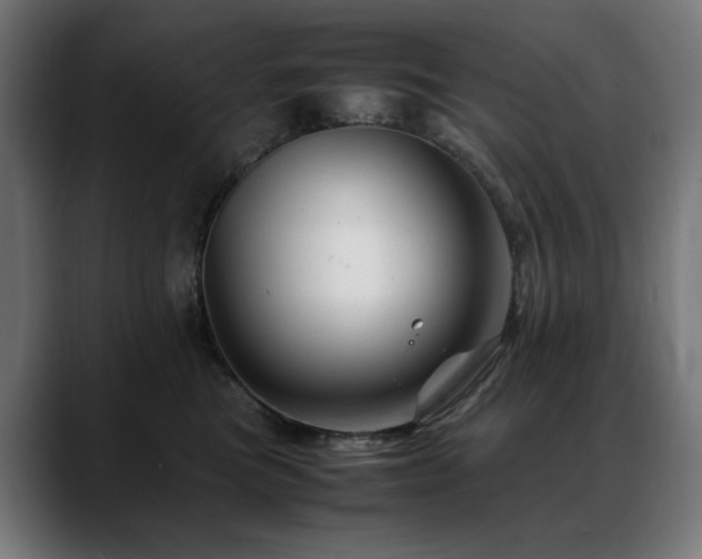 X0000088660473200705251526