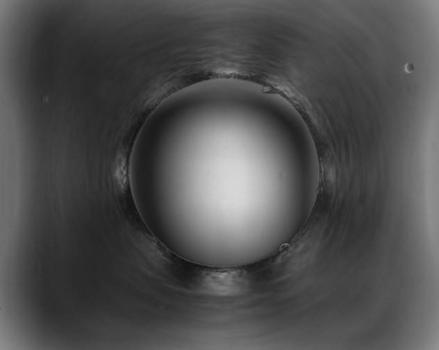 X0000088660479200705251526