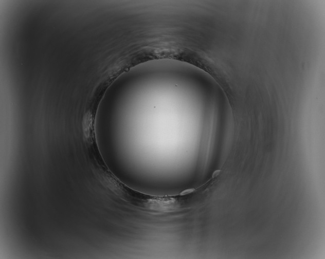 X0000088660480200705251526