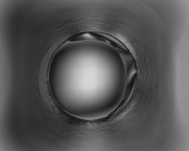 X0000088660481200705251525