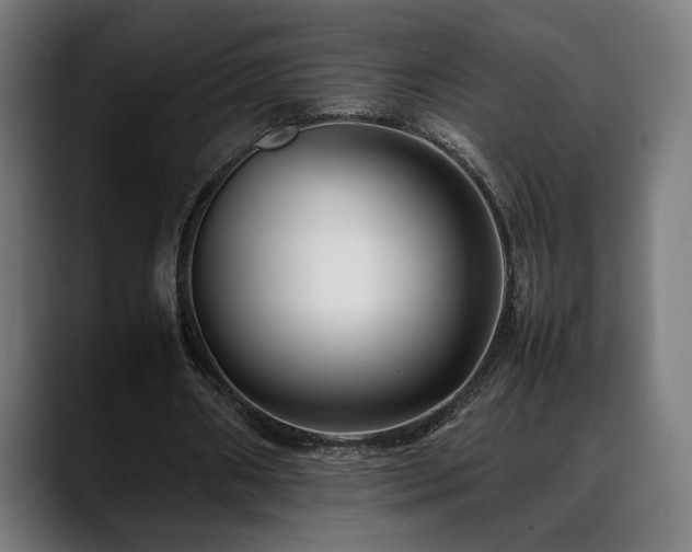 X0000088660482200705251525