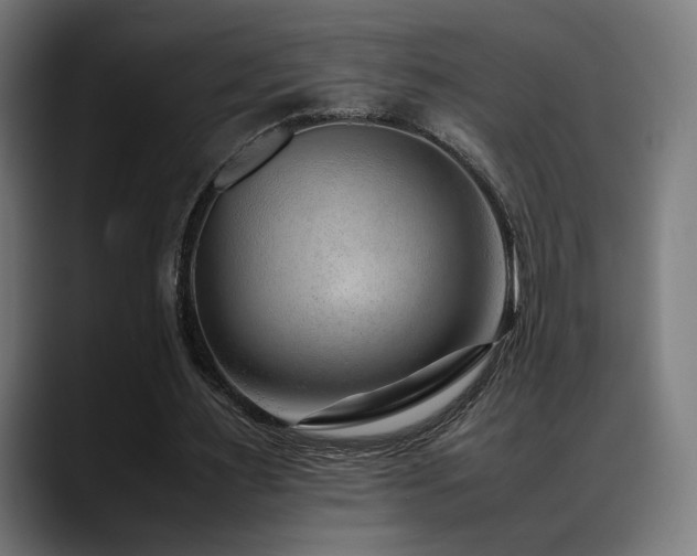 X0000088660483200705251525