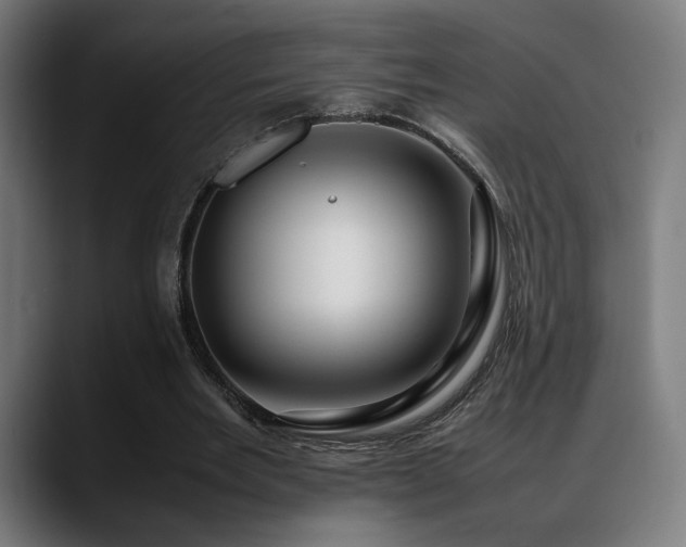 X0000088660485200705251525