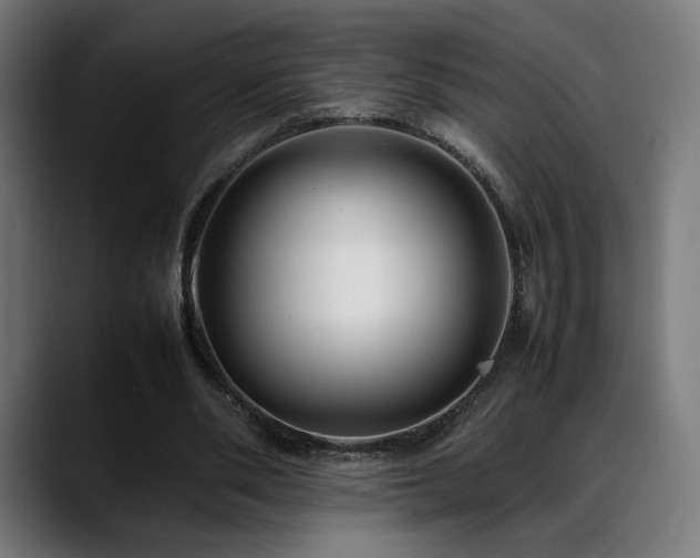 X0000088660486200705251525