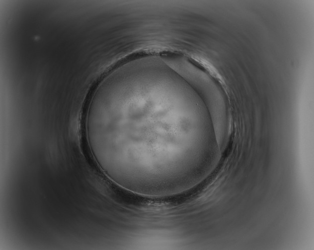 X0000088660487200705251525