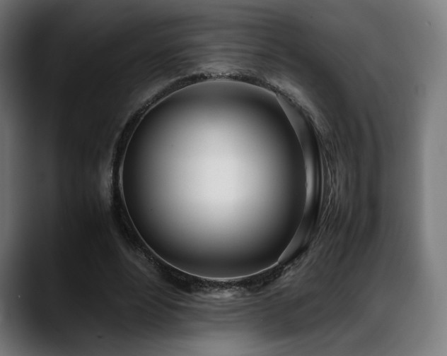 X0000088660488200705251525