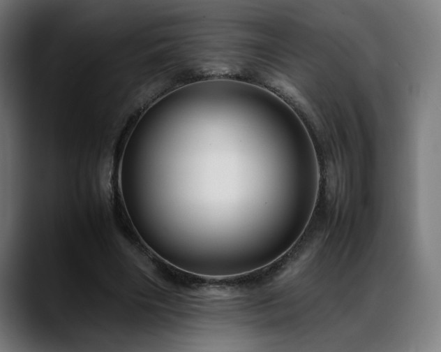 X0000088660490200705251525