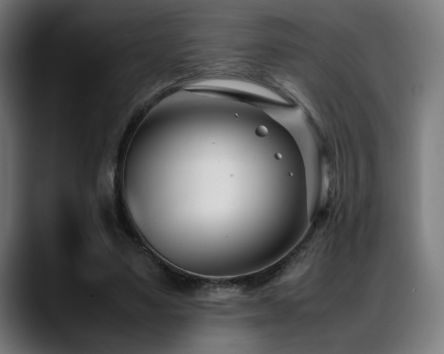 X0000088660491200705251525