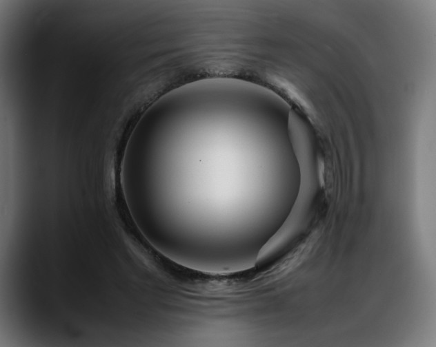 X0000088660493200705251525