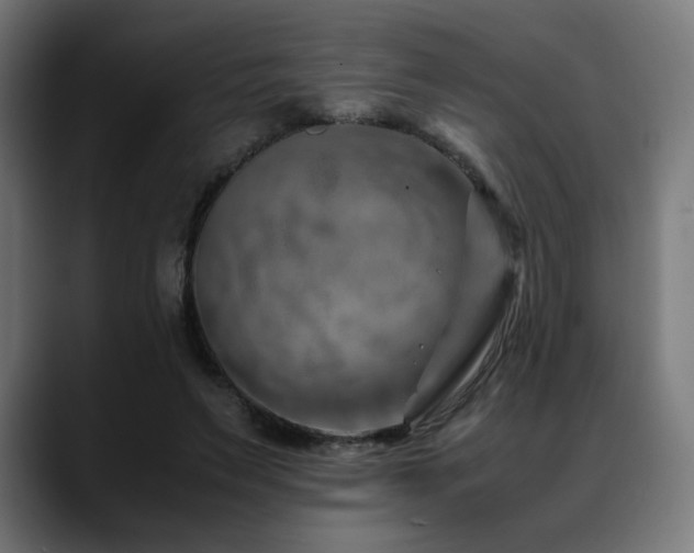 X0000088660495200705251525