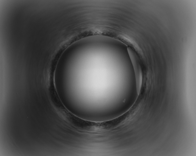 X0000088660496200705251525