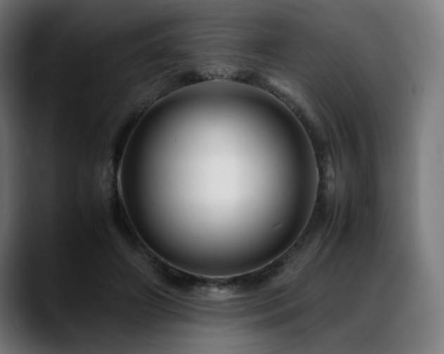 X0000088660498200705251525