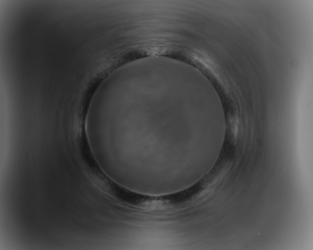 X0000088660499200705251525