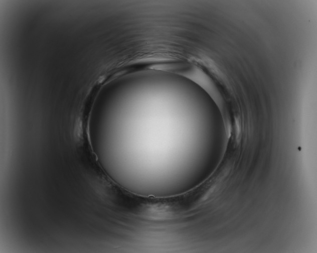 X0000088660500200705251525