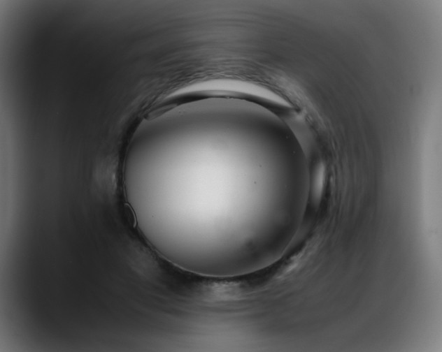 X0000088660501200705251525