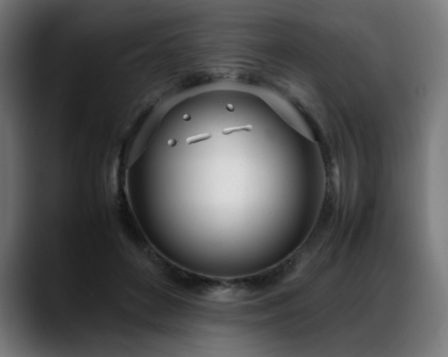 X0000088660504200705251525