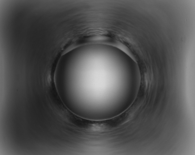 X0000088660508200705251525