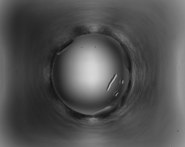 X0000088660509200705251525