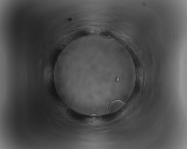 X0000088660511200705251525