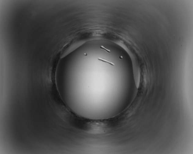 X0000088660512200705251525