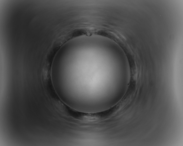 X0000088660515200705251525