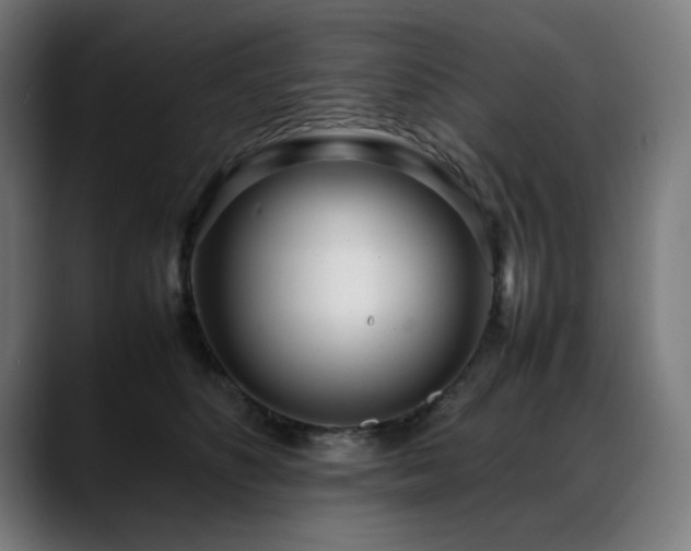 X0000088660516200705251525