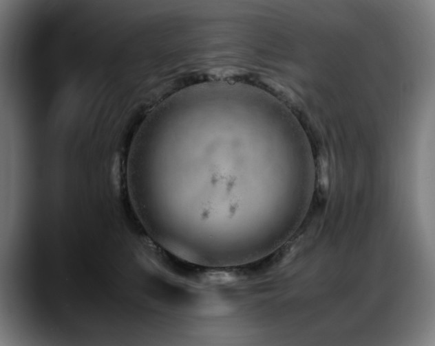 X0000088660519200705251525