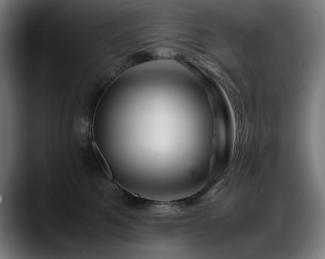 X0000088660521200705251525