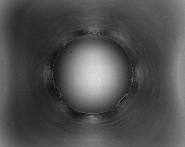 X0000088660522200705251525