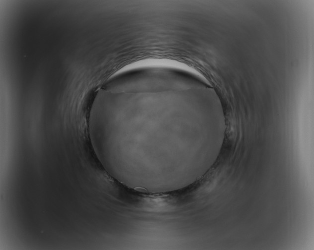 X0000088660523200705251525