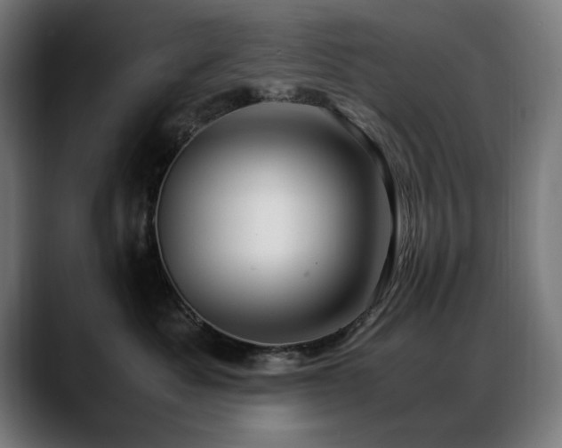 X0000088660525200705251525