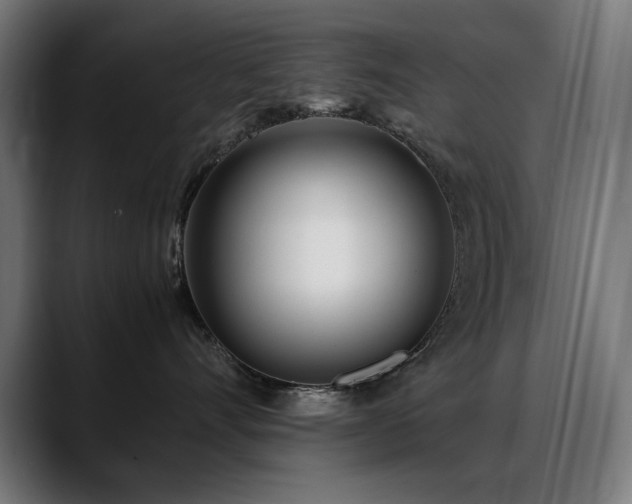 X0000088660528200705251525