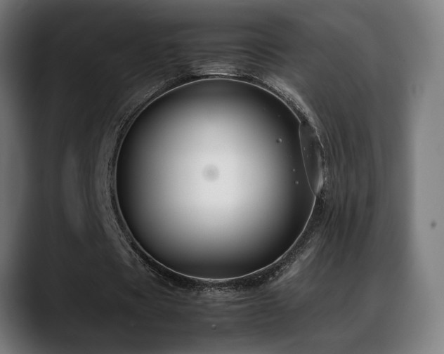 X0000088660529200705251524