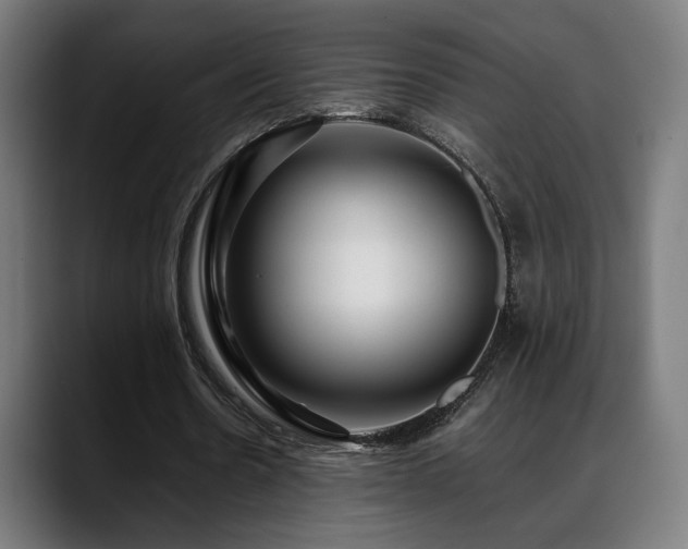 X0000088660530200705251524