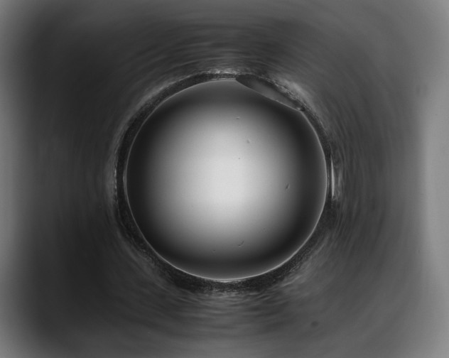 X0000088660531200705251524