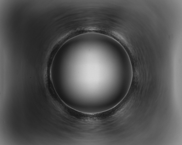 X0000088660535200705251524