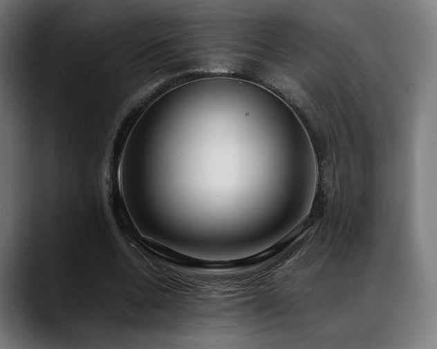 X0000088660536200705251524